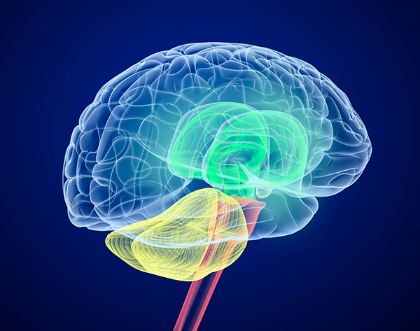 Chicago brain injury lawyer